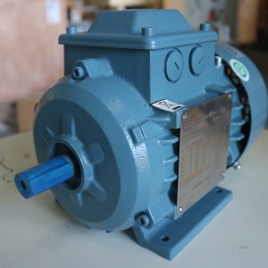 Động cơ M2BAX IE2